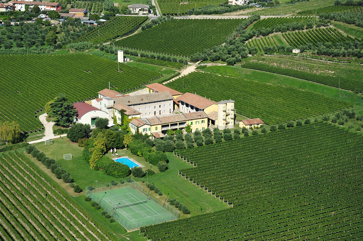 Bellora produzione vini